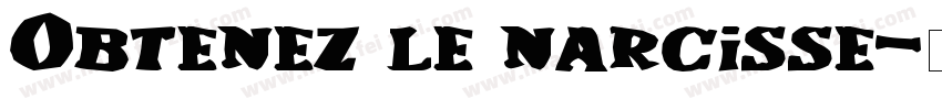 Obtenez le narcisse字体转换